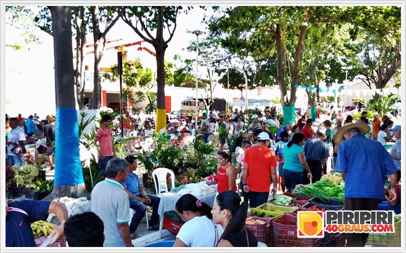 feira0607_2.jpg