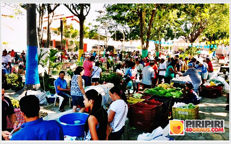 feira0607_4.jpg